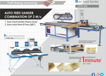 Auto Feed Sander