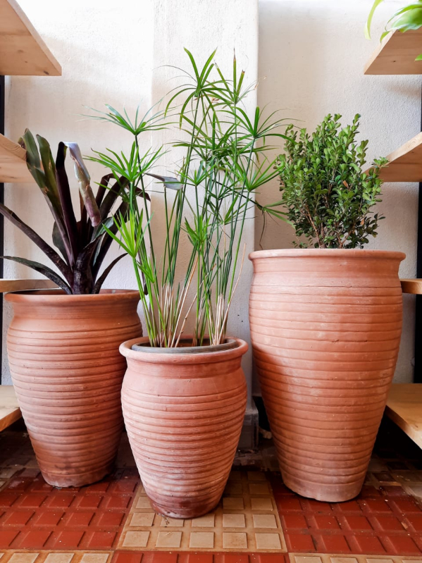 Round Non Polished terracotta pot, Feature Perfect Shape, Plastic Type Clay at Rs 50 / piece