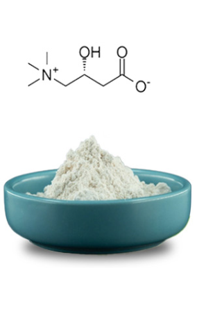 Bioextract L-Carnitine Base, for Many, Certification : FSSAI Certified ...