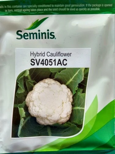 Seminis Cauliflower Seeds, Packaging Size : 10 GM