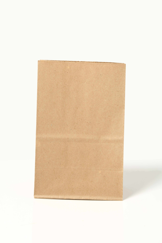 9x6x4 Inch Kraft Paper Stand Up Pouch at Rs 1 / Piece in Porbandar