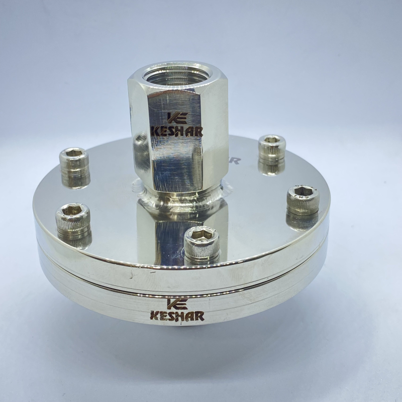 Polished Stainless Steel Flange Type Diaphragm Seals, for Industrial