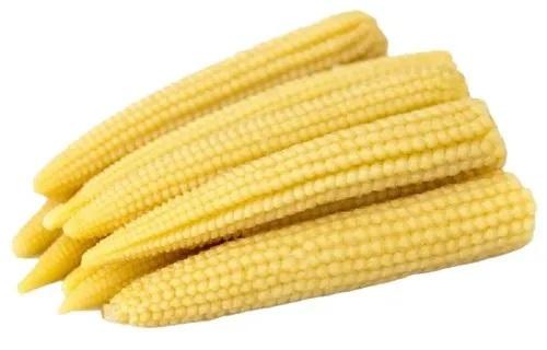 Raw Baby Corn