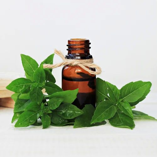 Yellow Liquid Holy Basil Essential Oil, for Medicines, Cosmetic