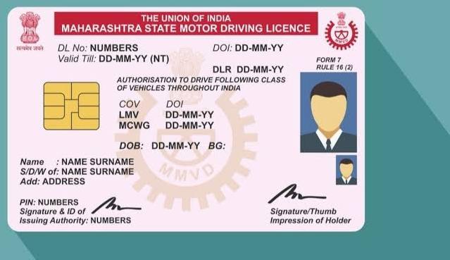 Driver\'s License