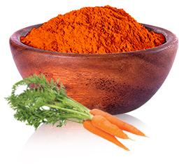 carrot powder