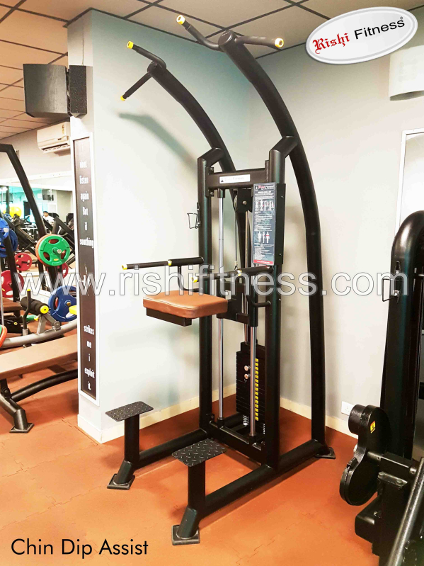 Rishi Fitness Dip Chin Assist Machine at Best Price in Jodhpur Rishi