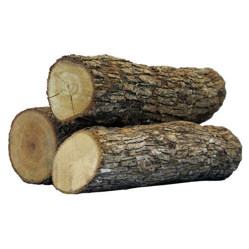 hardwood log