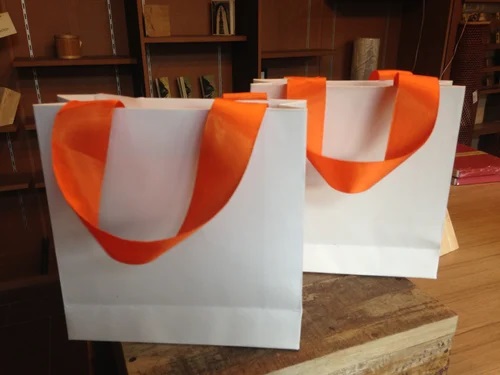 Eco- Friendly Paper Carry Bag