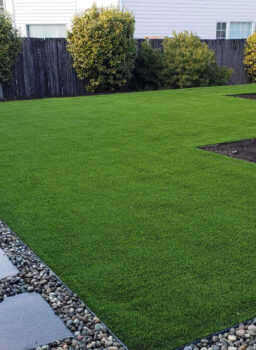 Green PE Plastic Artificial Turf, Length : 0-25 Mtr at Rs 350 / Square ...