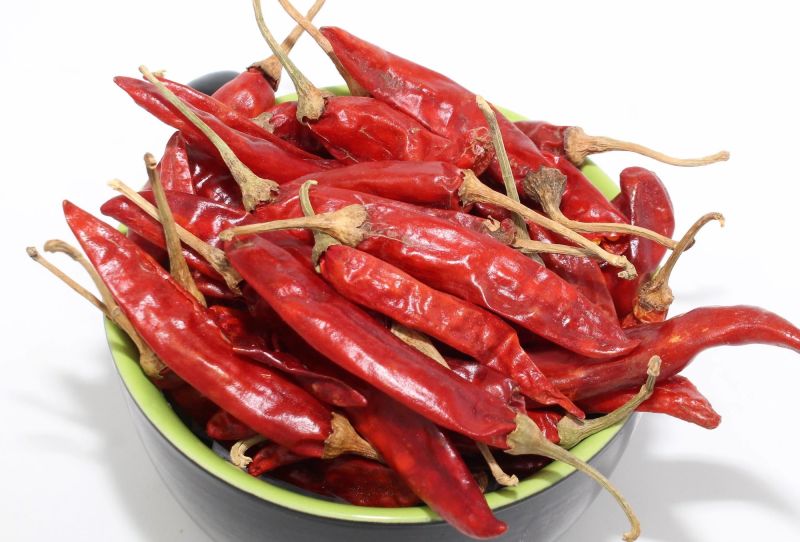 Natural Guntur Red Chilli, For Cooking, Style : Fresh