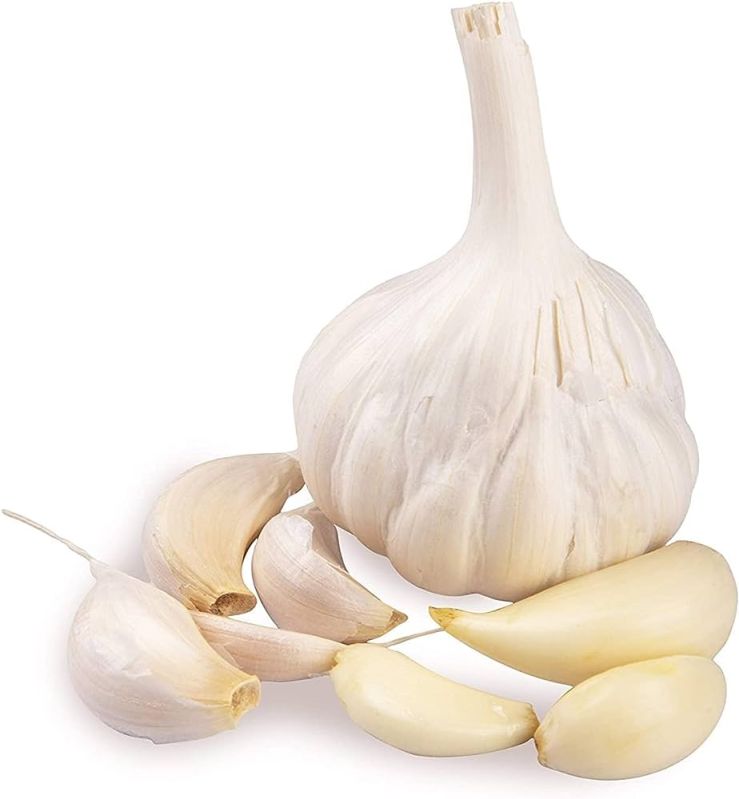 White Organic Fresh Garlic, For Cooking, Style : Natural
