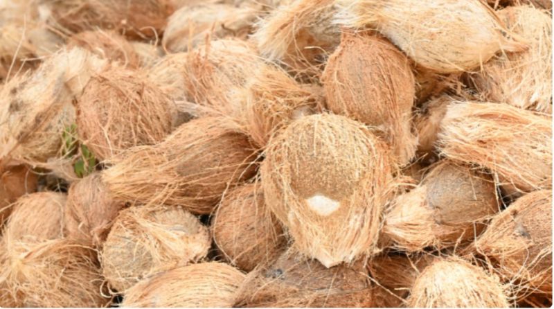 Chithu Raw Coconut, For Plant Growth, Size : 5kg