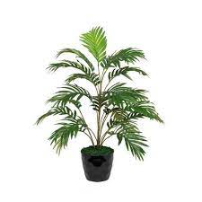 Plastic Artificial Areca Palm Plant, Feature : Easy Washable