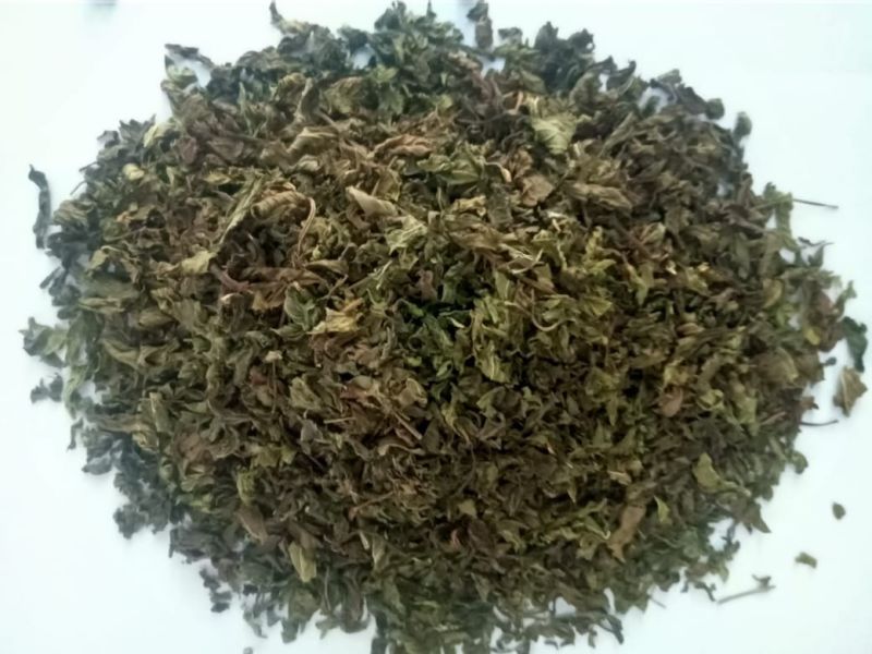 Green Organic Dried Peppermint Leaves, for Medicinal Purpose, Feature