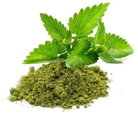 Organic Tulsi Powder, for Medicinal, Color : Green