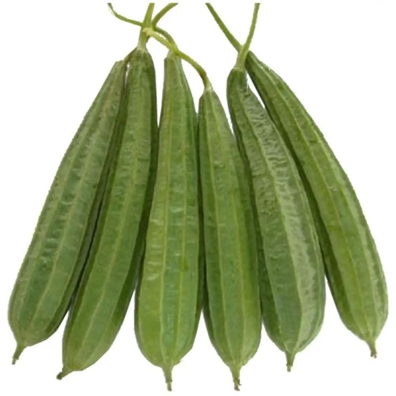 Ridge Gourd