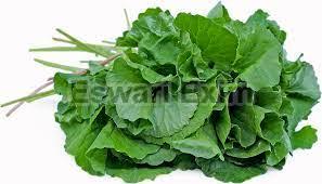 Natural Pennywort Leaves (T-Box), for Cooking Use