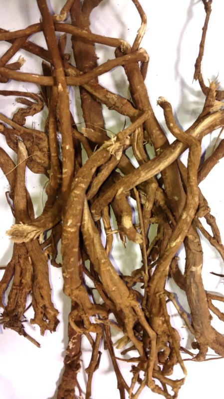 Punarnava roots, for Ayurvedic Medicine, Herbal Medicine, Medicinal Purposes