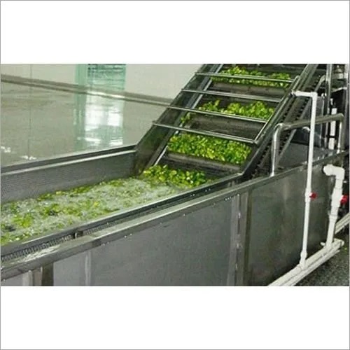Automatic Vegetable Processing Plant