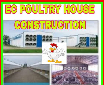 poultry consultancy
