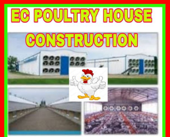 Poultry Vaccinator, Feature : Durable