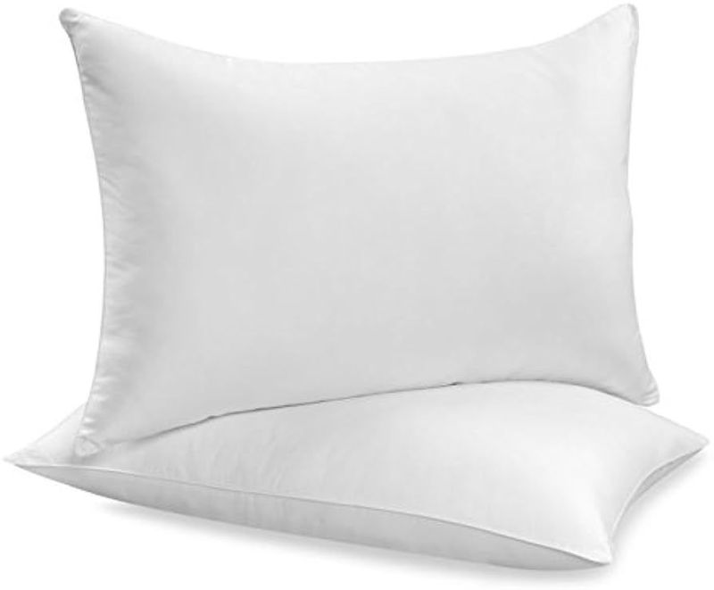 17X27 Inches Polyester Pillow