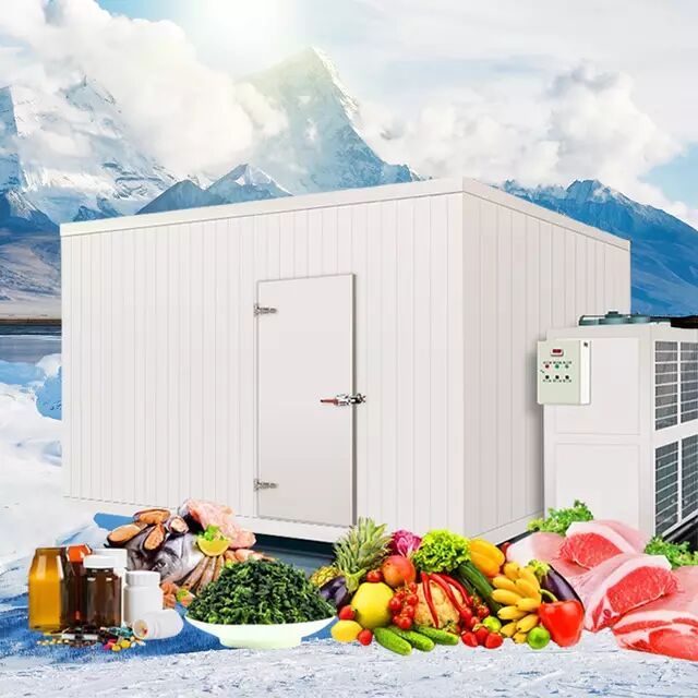 Prefabricated Commercial Walk In Sliding Swing Traffic Doors Deep Blast Frozen Freezer Frozen Chambre Froide Refrigerator Cold Room
