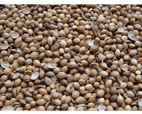 Coriander seed, Packaging Type : Loose