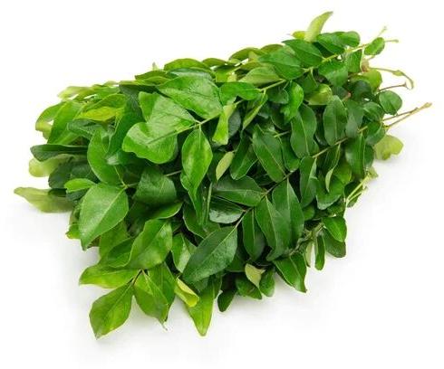 Yaashika Bioworks Curry Leaves, Packaging Size : 1kg