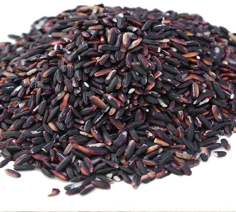 Natural black rice, for Human Consumption, Certification : FDA Certified, FSSAI Certified