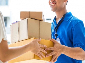 domestic courier services