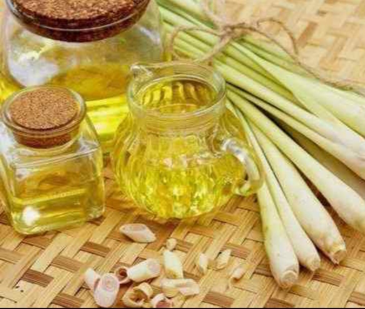 Organic Lemongrass Oil, For Ward Off Insects, Soups, Reduce Body Aches, Muscle Pain, Killing Bacteria