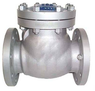Stainless Steel Check Valve