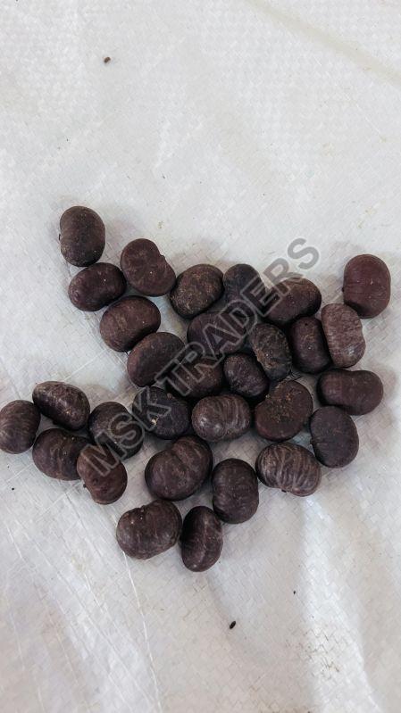 Brown Fishtail Palm Seeds, for Plantation, Packaging Type : Plastic Bag
