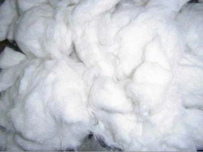 Raw Cotton, for Textile Industry, Pattern : Plain