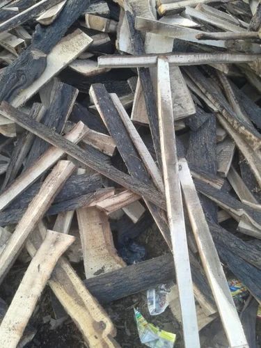 Brown Logs Babool Firewood, for Burning Use, Feature : Environment Friendly