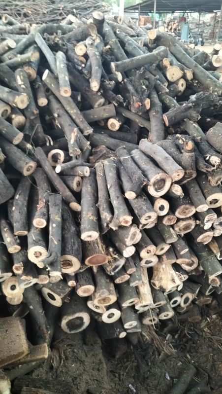 babool wood