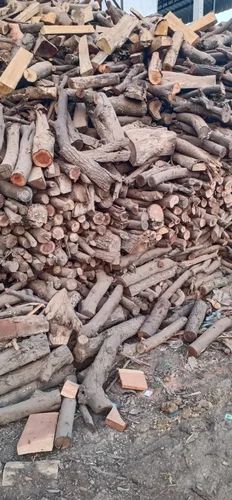 Brown Logs Dry Babool Firewood, for Burning Use, Feature : Environment Friendly