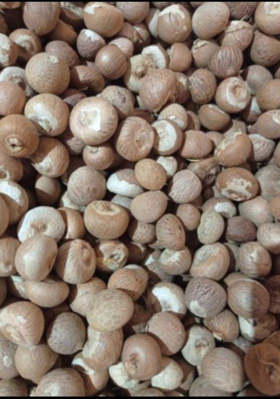 Raw Organic A3 Areca Nuts, for Ayurvedic Formulation, Cooking, Herbal Formulation, Medicines, Mouthe Freshenser