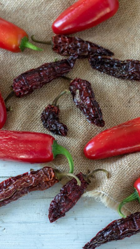 chipotle peppers chilis