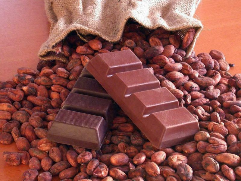 Natural cocoa extract, for Medicinal, Food Additives, Beauty