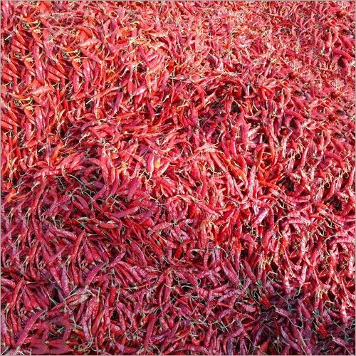 Dried Red Chilli Dry Red Chilli, for Cosmetics, Food Medicine, Spices, Cooking, Certification : Import Certifications