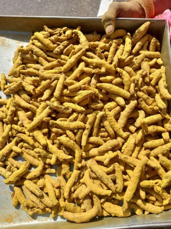 Mini Salem Double Polished Turmeric Finger