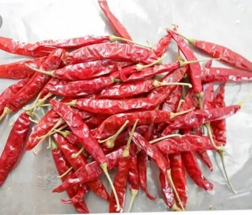 With Stem Dry Red Chillies, for Cosmetics, Food Medicine, Spices, Cooking, Certification : Import Certifications