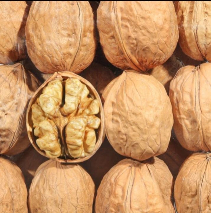 walnuts