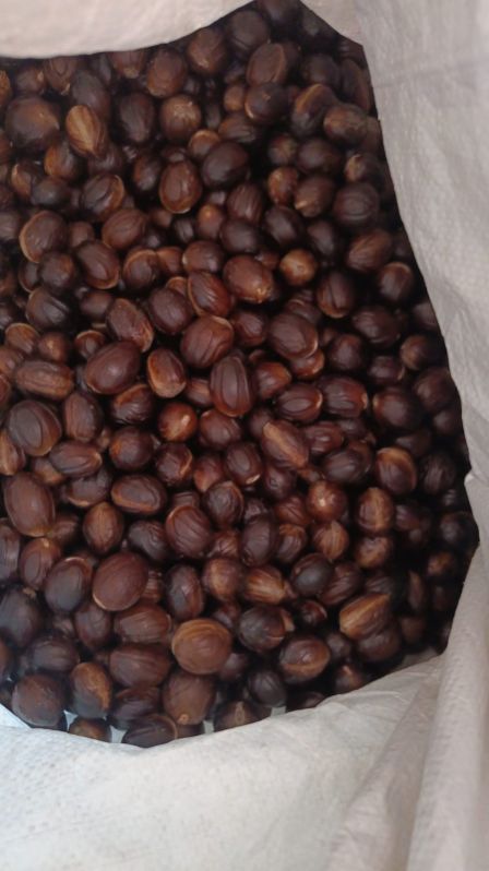 Dark Brown Raw Polished Organic Shelled Nutmeg, for Spices, Grade Standard : Food Grade