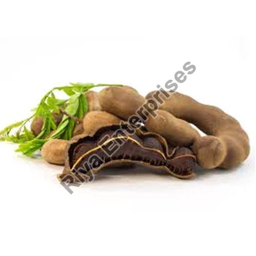 Natural Tamarind Pods, for Spices, Cooking, Specialities : Good Quality, Hygenic