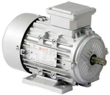 IE2 Aluminium Foot Mounted Induction Motor