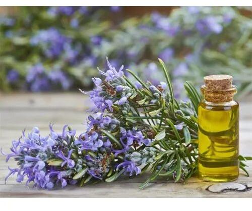 Rosemary Essential Oil, Form : Liquid